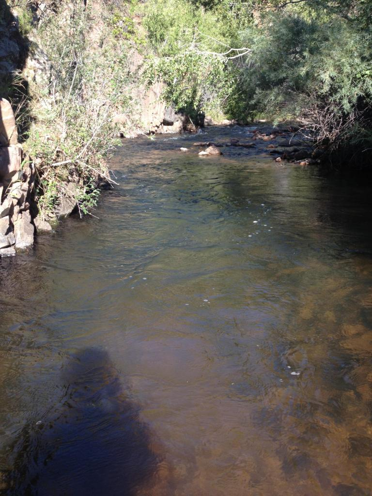 Ultralight Fly Fishing • Beaver Creek Wilderness Area 9Aug14